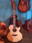 Taylor 955ce 12 String Guitar